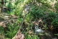 Trail through a wild area of great natural beauty along the Alge stream with two small waterfalls with selective focus, Casal de S Royalty Free Stock Photo