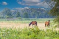 Landscape rural area in stream valley Rolder Diep part Drentsche Aa