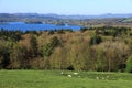 Landscape in rural County Sligo, Ireland