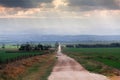 Rural road trough fields going to horizon, sunlight and clouds Royalty Free Stock Photo