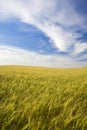 Landscape with rural field and beautiful sky