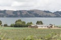 Landscape, rural house surrounded by welsh onion fields, Allium fistulosum