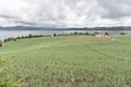 Landscape, rural house surrounded by welsh onion fields, Allium fistulosum