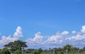 Landscape rural in thailand,trees and clouds on vivid blue sky background Royalty Free Stock Photo