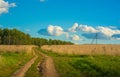 Rural road against the background of a yellow field and forest and a blue sky. Royalty Free Stock Photo