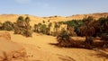 Landscape of sahara algeria Royalty Free Stock Photo