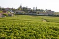 Landscape Saint Emilion village in Bordeaux region vineyard grape