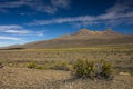 Landscape in Sajama national park in Bolivia composed by typical vegetation on vulcanized rocks and sand surrounded by