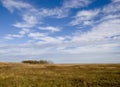 Landscape of saline pastures with trees