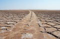 Wheel tracks on salt flat polygons of desert Royalty Free Stock Photo