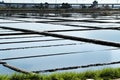 Landscape of the salt flats in Aveiro