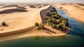 landscape sand dune oases Royalty Free Stock Photo