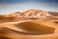 Landscape with sand dunes. Desert landscape with large sand dunes. Sahara desert