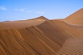 Landscape of sand dunes in the desert of Rub` Al Khali Royalty Free Stock Photo