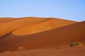 Landscape of sand dunes in the desert of Rub` Al Khali Royalty Free Stock Photo