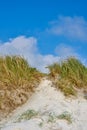 Landscape of sand dunes under cloudy blue sky copy space on the west coast of Jutland in Loekken, Denmark. Closeup of Royalty Free Stock Photo