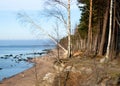 landscape with sandstone cliffs, bare ice, sand and ice formations, Veczemju cliffs, Latvia