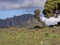 Landscape in Sanetti Plateau, Bale National Park, Ethiopia