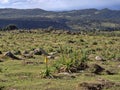 Landscape in Sanetti Plateau, Bale National Park, Ethiopia