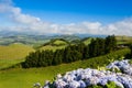 The landscape on Sao Miguel, Azores