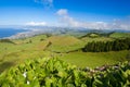 The landscape on Sao Miguel, Azores