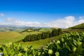 The landscape on Sao Miguel, Azores