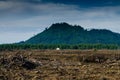 Landscape of Sarawak - Damai Santubong Kuching Sarawak