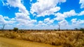 Landscape of the Savanna region in Kruger National Park
