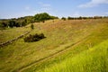 Landscape in Scania, Sweden