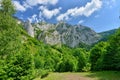 Landscape with the Scarita-Belioara reserve Royalty Free Stock Photo