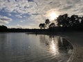 Landscape scee of trees on the beach by the water at sunset with cloudy sky Royalty Free Stock Photo