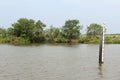 Bayou Lafourche, Louisiana Royalty Free Stock Photo