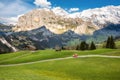 Landscape scene from First to Grindelwald, Bernese Oberland, Switzerland