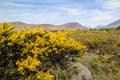 A landscape scene of the Mourne Mountains, also called the Mournes or Mountains of Mourne, County Down, Northern Ireland.