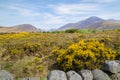 A landscape scene of the Mourne Mountains, also called the Mournes or Mountains of Mourne, County Down, Northern Ireland
