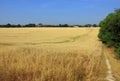 A landscape scene of the North Kent countryside Royalty Free Stock Photo