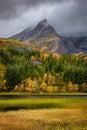 Landscape scene of Nusfjord green hills and Autumn trees in Lofoten Islands, Norway at sunset