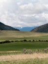 Landscape scene of pasture land, sheep grazing. Portrait orient