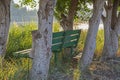 Wooden bench in trees on river bank Royalty Free Stock Photo