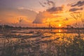 Landscape of sunrise sunset over a farm field after harvest. Sun breaks through clouds creating reflection in water standing Royalty Free Stock Photo