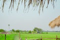 landscape scenery frame of clear blue sky and green grass field background in a summer morning relax time