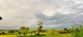 Landscape scenery of grass fields with trees and mountains in the background. Royalty Free Stock Photo