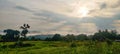 Landscape scenery of grass fields with trees and mountains in the background. Royalty Free Stock Photo