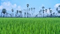 Landscape scenery of green rice fields with background of scattered sugar palm trees and blue cloudy sky in rural at Pathum Thani Royalty Free Stock Photo