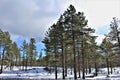 Landscape Scenery, Interstate 17, Flagstaff to Phoenix, Arizona, United States