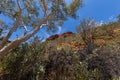 Landscape scenery at Kings Canyon, Australia. Through the branches of a bare tree, over the dry bushes to the red rocks and blue Royalty Free Stock Photo