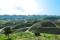 Landscape, scenery of Moc Chau, Son La, Vietnam