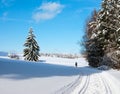 Landscape scenery with modified crosscountry skiin Royalty Free Stock Photo