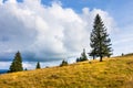 landscape scenery near Freiburg Breisgau south Germany