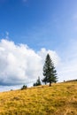 landscape scenery near Freiburg Breisgau south Germany